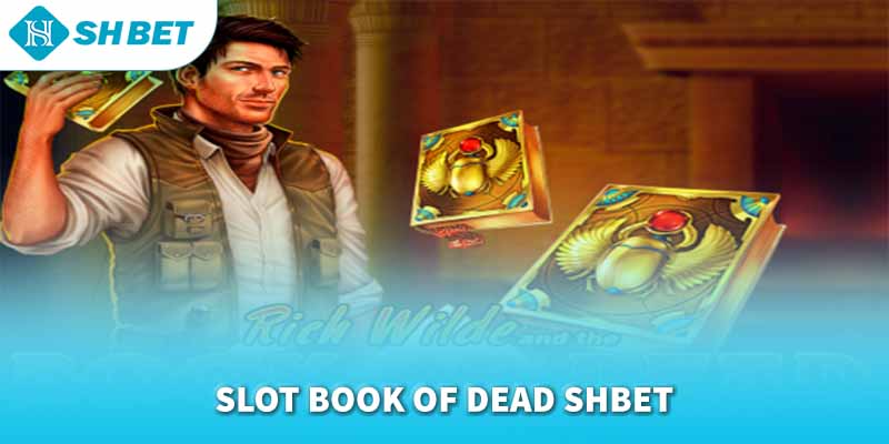 Banner www.nhanit.com