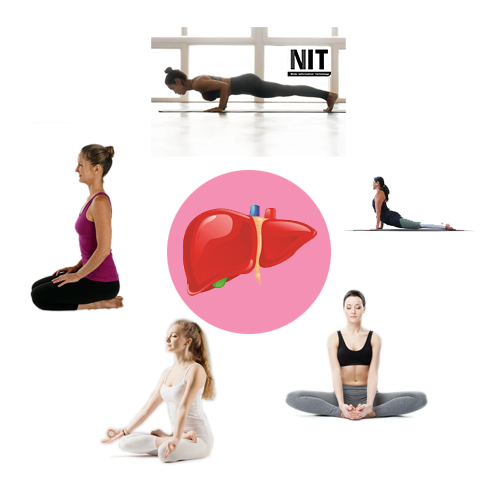 5 động tác yoga giúp gan bạn khỏe hơn từng ngày