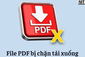 Alternate Text