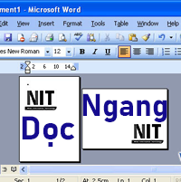 Alternate Text
