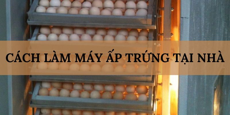 Banner www.nhanit.com